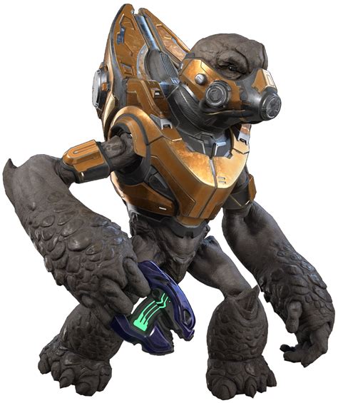 Unggoy .
